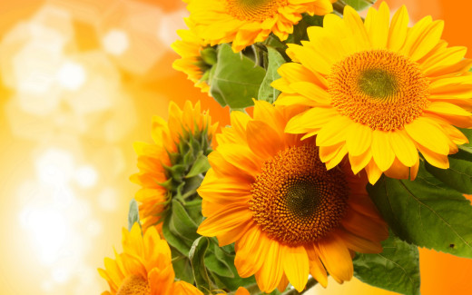 926508 (a): :2880x1800